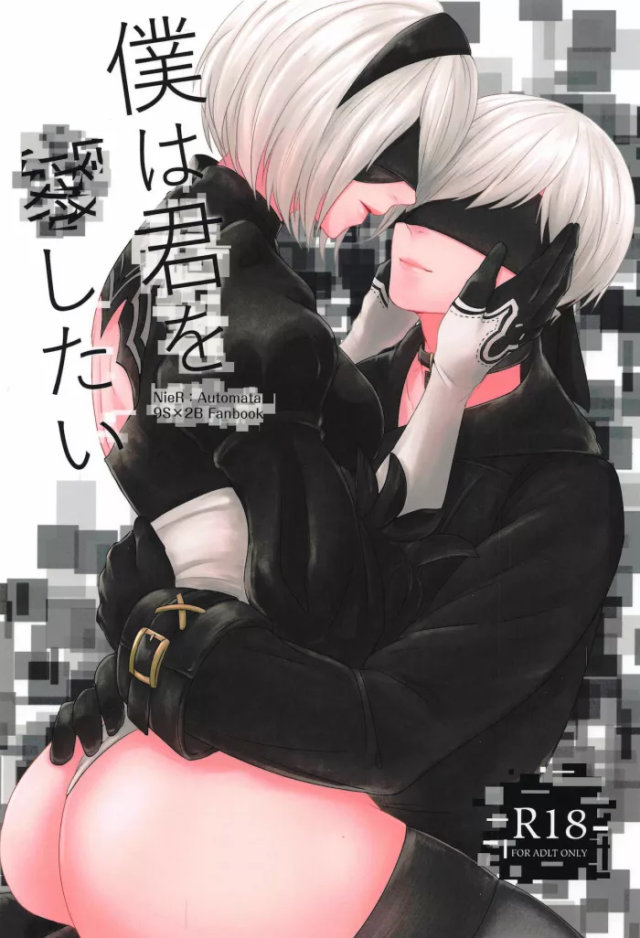 (AC2) [Tomoshibien (Yori)] Boku wa Kimi o Aishitai | Quiero Amarte (NieR:Automata) [Spanish] [Mister Nugget]