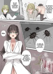 After Report (Spanish) MTL