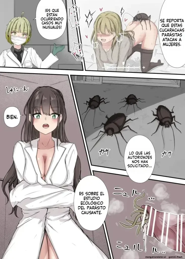 After Report (Spanish) MTL