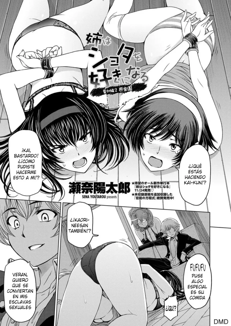 Ane wa Shota o Sukininaru Bangaihen 2 – Kai Rakuen | Ane wa Shota wo Sukininaru – El paraíso de Kai