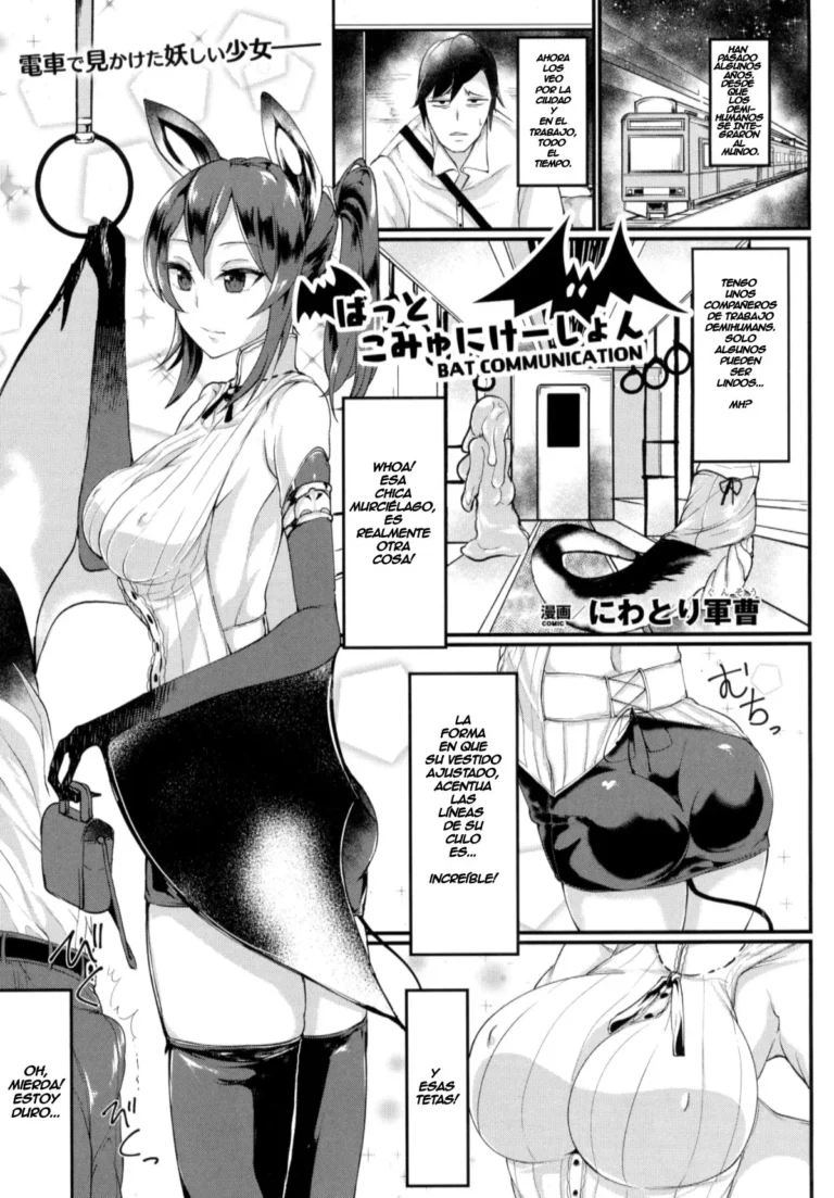 Bat Communication