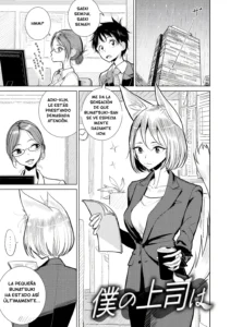 Boku no Joushi wa