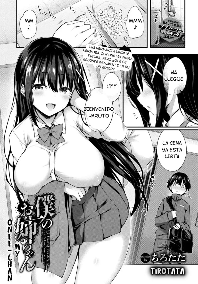 Boku no Onee-chan – My beloved was defiled and taken from me…
