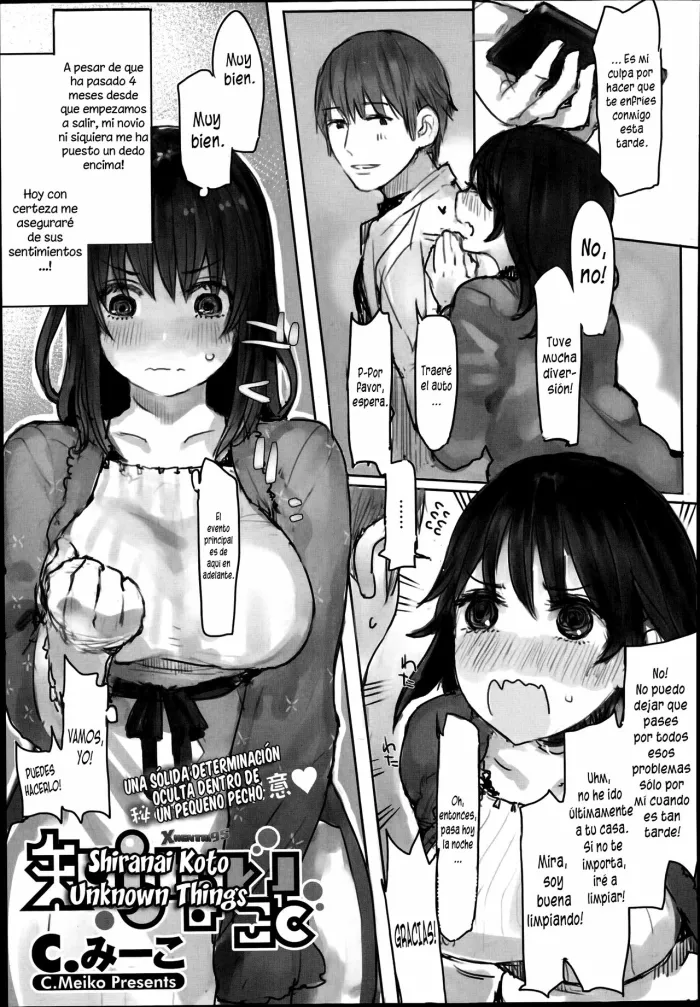 [C.Meiko] Shiranai Koto | Cosas Desconocidas (COMIC Megastore Alpha 2014-07) [Spanish] [XHentai95]