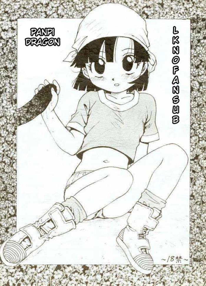 (C55) [Karumaya (Karma Tatsurou)] Panpi Dragon (Dragon Ball GT) [Spanish] [LKNOFansub]