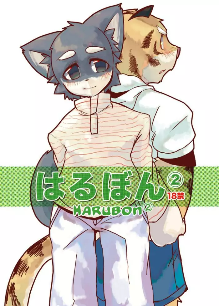 (C69) [Harugoya (Harusuke)] Harubon 2 [Spanish] [Sly_Silver] [Decensored]