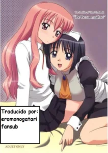 (C71) [G-SCAN CORP. (Satou Chagashi)] Le beau maître (Zero no Tsukaima) [Spanish] [Eromonogatari]