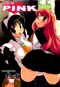 (C71) [Studio Wallaby (Takuji)] Koakuma PINK (Zero no Tsukaima) [Spanish] [Coto]