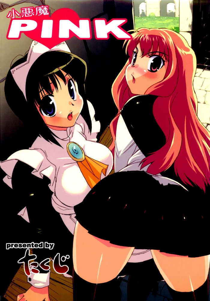 (C71) [Studio Wallaby (Takuji)] Koakuma PINK (Zero no Tsukaima) [Spanish] [Coto]