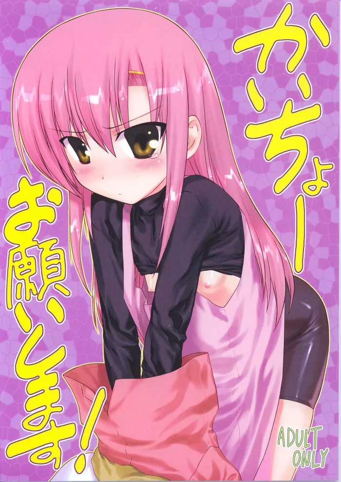 (C72) [ARCHIVES (Hechi, Sanada Kana)] Kaichou Onegaishimasu! (Hayate no Gotoku!) [Spanish] [Hao Scanlations]