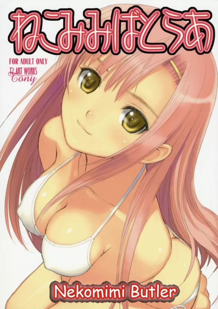 (C72) [T2 ART WORKS (Tony)] Nekomimi Butler (Hayate no Gotoku!) [Spanish] [Seinagi]