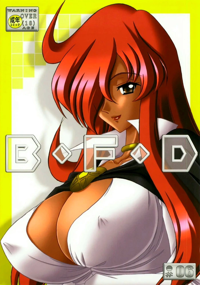 (C73) [Bousou!! Fuhatsudan (Takai Biki)] B.F.D 06 (Zero no Tsukaima) [Spanish] [Renasentista_313]