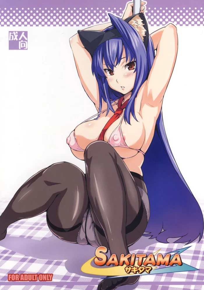 (C73)  Sakitama (Arcana Heart) [Spanish] =P666HF=