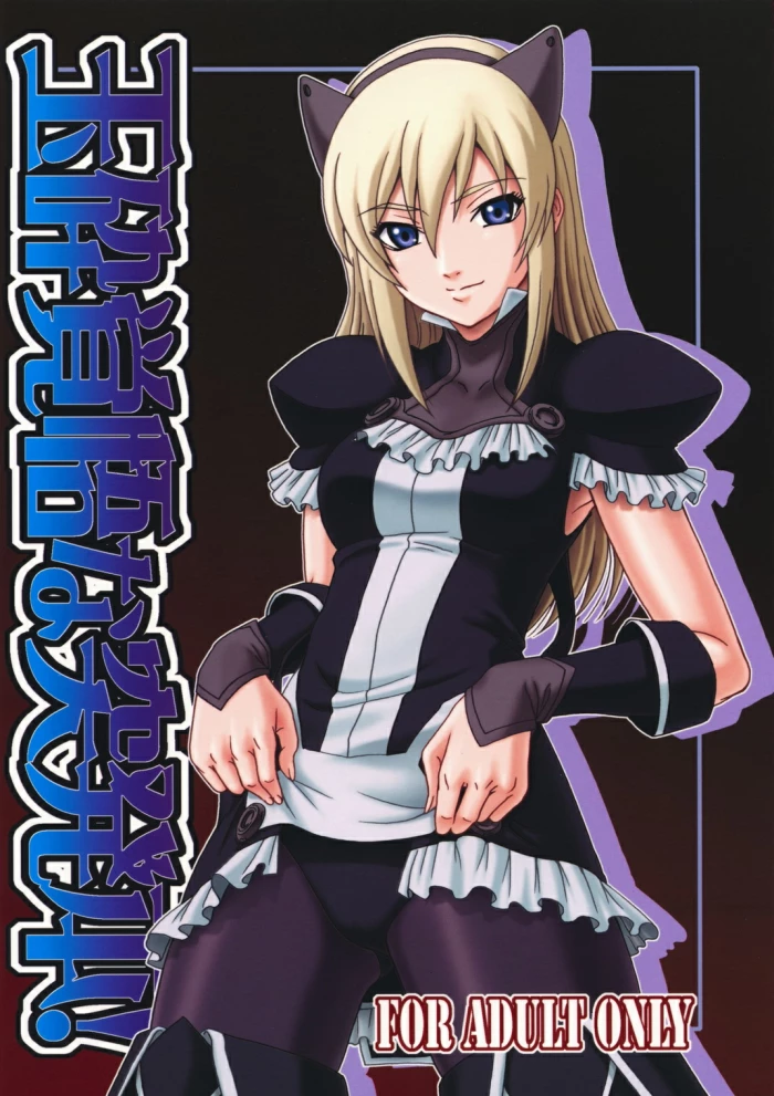 (C74) [Oretachi Misnon Ikka (Misnon the Great)] Gyokusai Kakugo na Toppatsu bon (Tower of Druaga) [Spanish] [Kanaru]