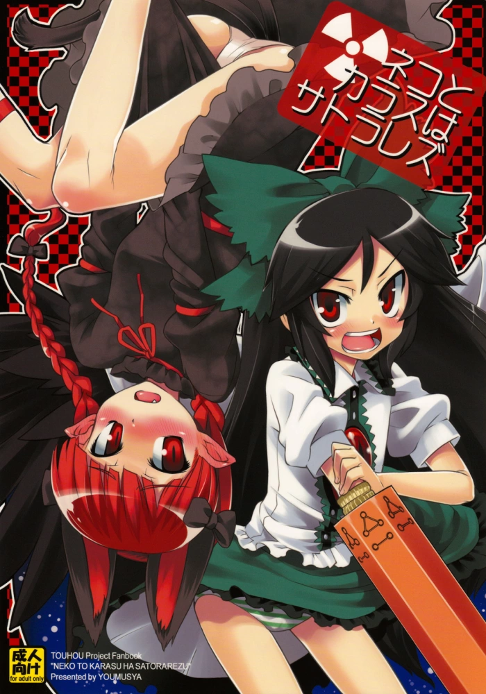 (C75)  Neko to Karasu wa Satorarezu (Touhou Project) [Spanish] [Biblioteca Hentai]