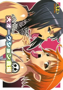 (C75) [Youkai Tamanokoshi (Chiro)] Dai Auction Kaijou (One Piece) [Spanish] {El nido del Cóndor}