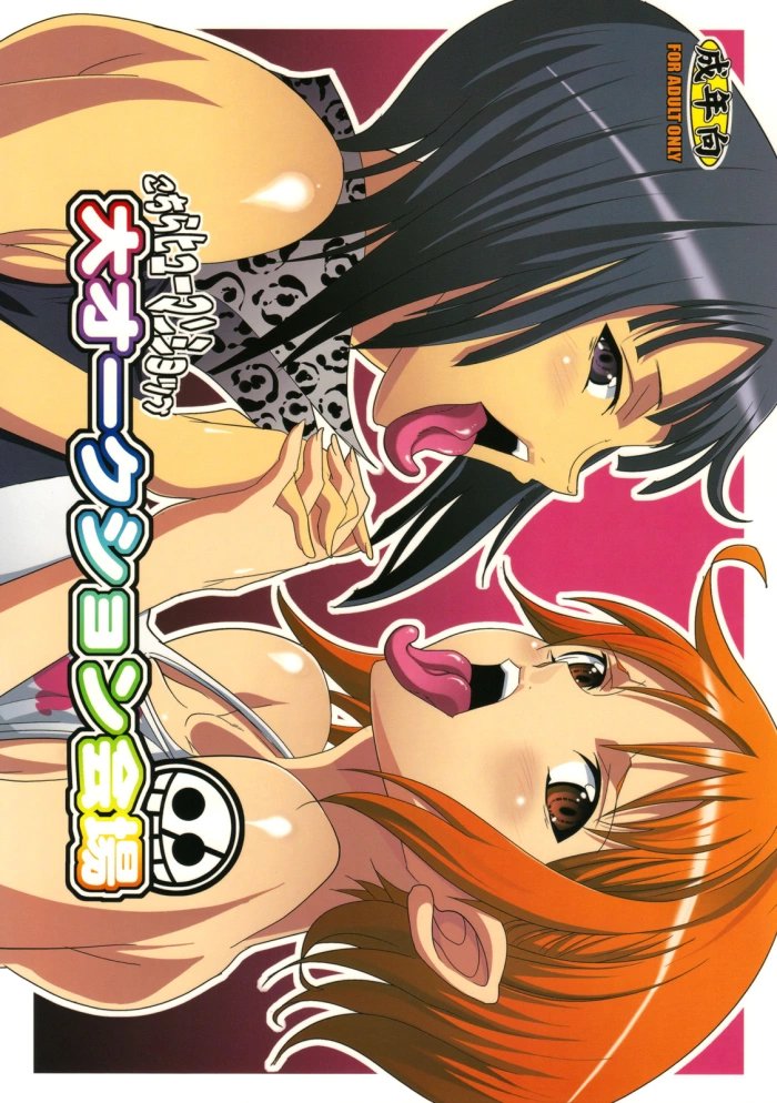 (C75) [Youkai Tamanokoshi (Chiro)] Dai Auction Kaijou (One Piece) [Spanish] {El nido del Cóndor}