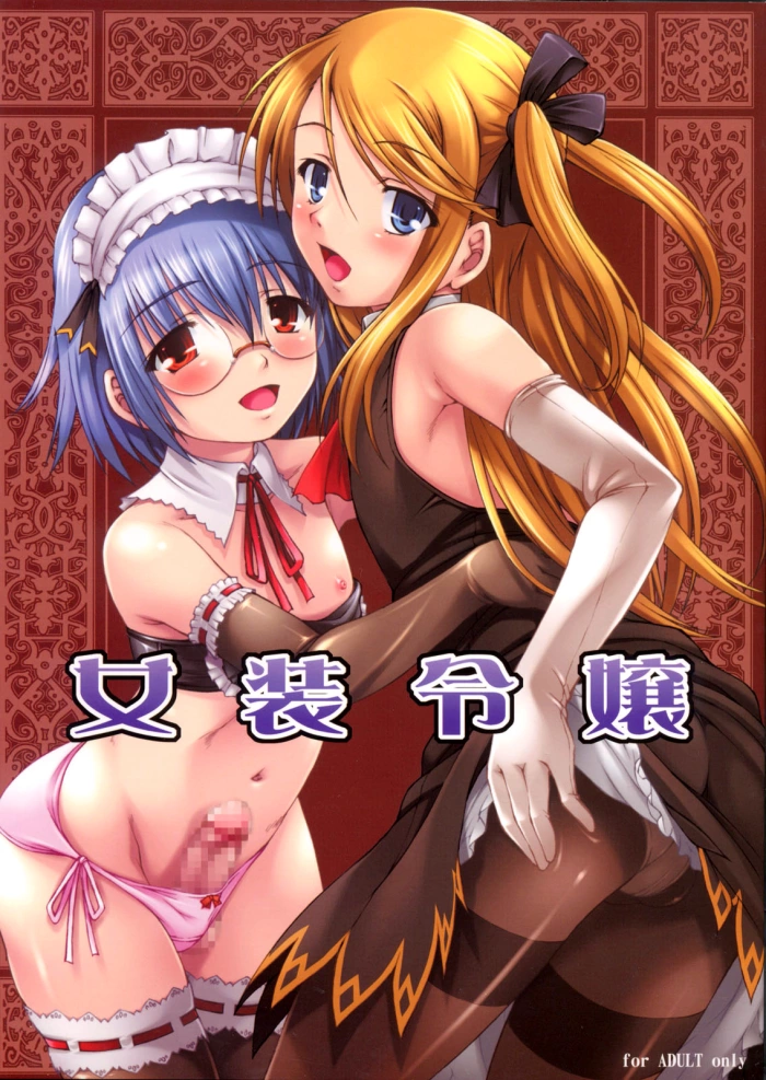 (C76) [Nanairo Koubou (Martan)] Josou Reijou [Spanish] [Fanboo]