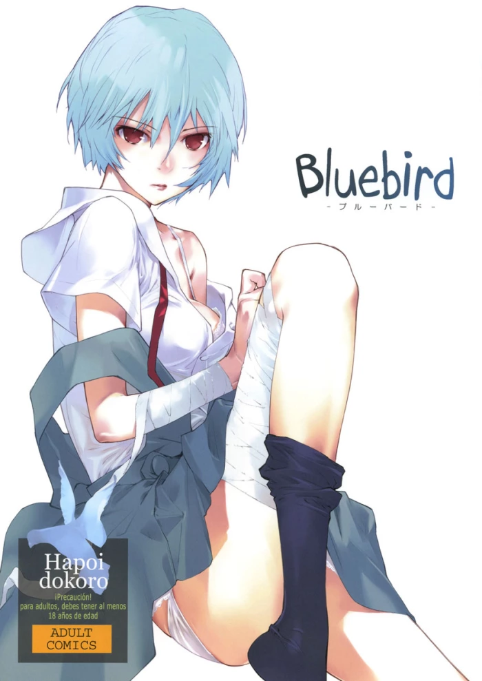 (C77) [Hapoi-dokoro (Okazaki Takeshi)] Bluebird (Neon Genesis Evangelion) [Spanish] [TCF]