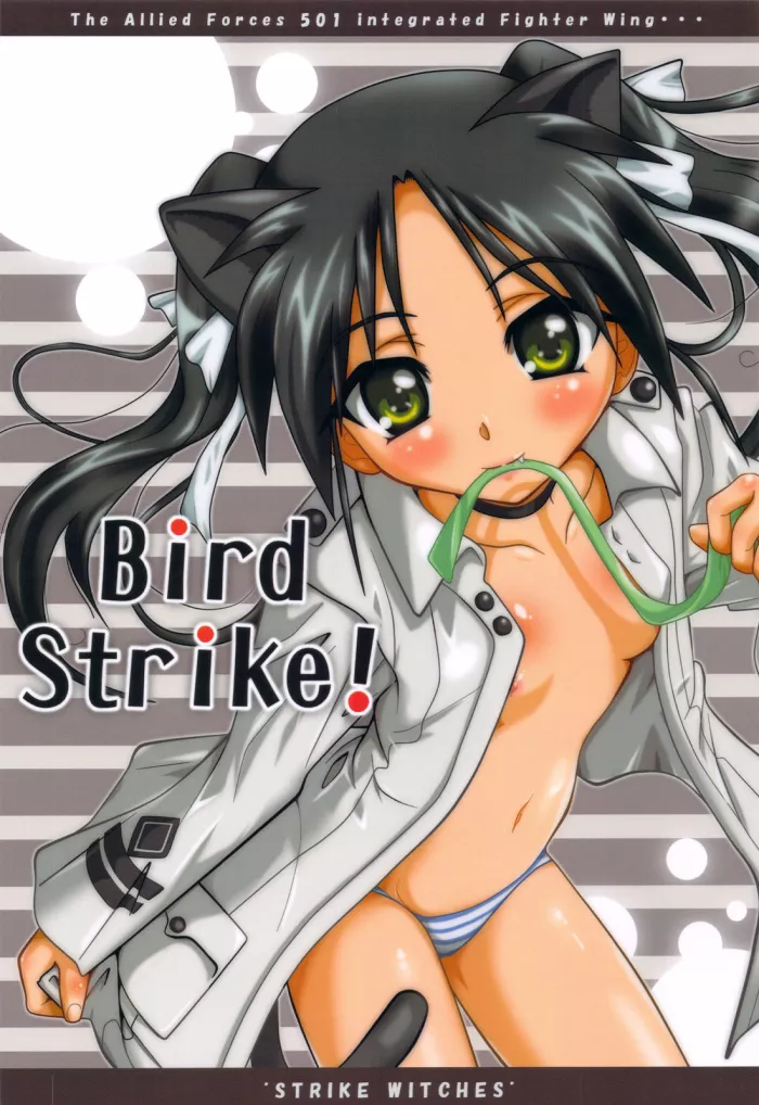 (C77) [Terra Drive (Teira)] Bird Strike! (Strike Witches) [Spanish] [Kurotao]