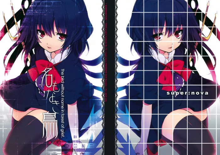 (C78) [super:nova (Yukimachi Tounosuke)] Na Mo Naki Tori | El ave sin nombre en el bosque del dolor (Touhou Project) [Spanish]