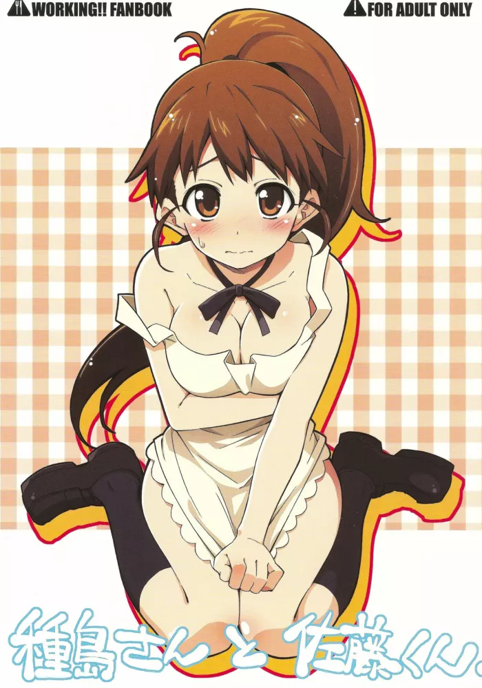 (C78)  Taneshima-san to Satou-kun (WORKING!!) [Spanish] [Kurotao]