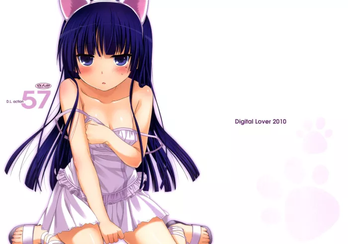 (C79) [Digital Lover (Nakajima Yuka)] D.L. action 57 (Ore no Imouto ga Konna ni Kawaii Wake ga Nai) [Spanish]