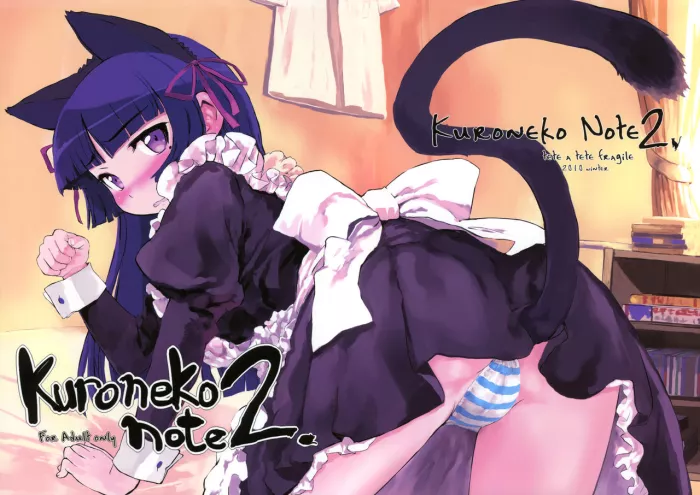 (C79)  Kuroneko Note 2. (Ore no Imouto) [Spanish]