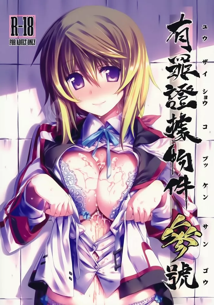 (C80) [Himura Nyuugyou (Himura Kiseki)] Yuuzai Shouko Bukken Sangou (IS ) [Spanish] [Koi Subs]