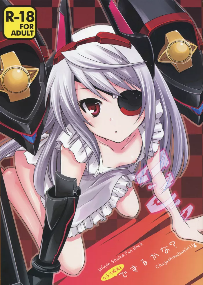 (C81) [CHAGASHI SAIBAN (Yamabuki Mook)] Laura Taichou to Dekiru kana? (IS ) [Spanish] {Kurotao}