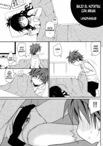 (C81) [Takumi na Muchi] Kotatsu de Mikan [Spanish] [LKNOFansub]
