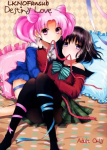 (C83)  Destiny Love (Bishoujo Senshi Sailor Moon) [Spanish] [LKNOFansub]