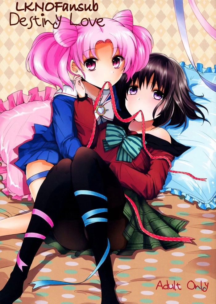 (C83)  Destiny Love (Bishoujo Senshi Sailor Moon) [Spanish] [LKNOFansub]
