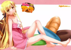 (C84) [Digital Lover (Nakajima Yuka)] D.L. action 79 (Bakemonogatari) [Spanish] =P666HF & HACHInF=