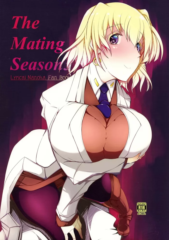 (C86) [EUNOXLINE (U-1)] The Mating Season3 (Magical Girl Lyrical Nanoha) [Spanish]
