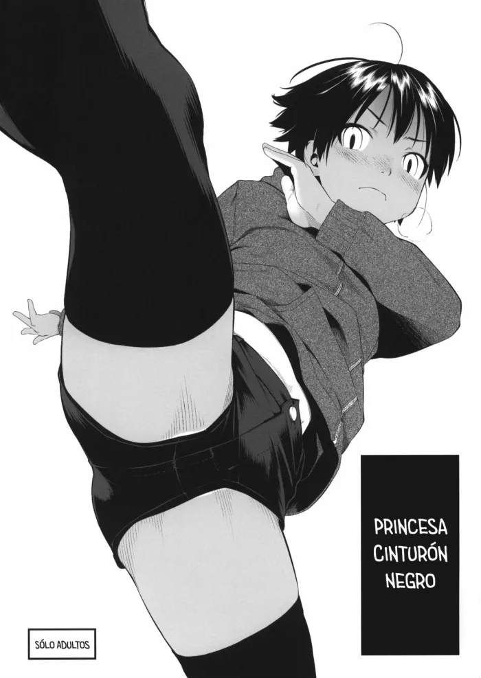 (C87) [Group Hinoran (Wang-Pac)] Kuroobi Princess + COMITIA 112 Paper | Princesa Cinturón Negro + Panfleto de COMITIA 112 [Spanish] [HGnF]