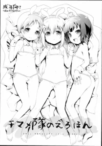 (C90)  Chimametai no Erohon (Gochuumon wa Usagi Desu ka?) [Spanish] [Shadow Hunter]