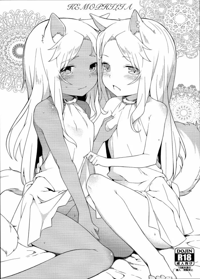 (C90) [IRIOMOTE (Saryuu)] KEMOPHILIA [Spanish] [hikikomori.group]