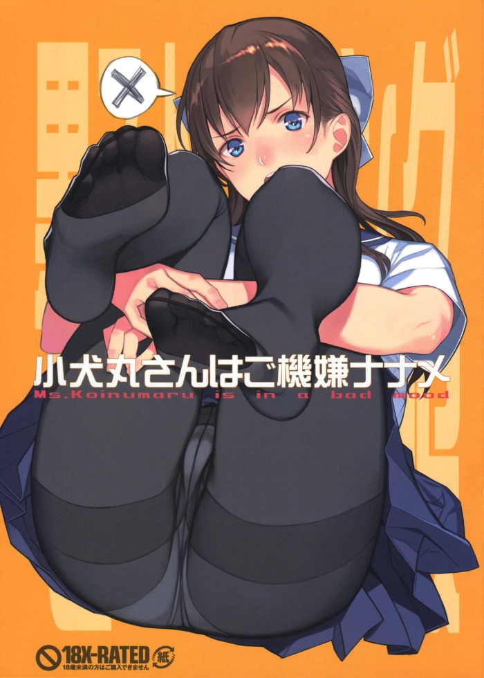 (C90) [LilyLilyRose (Mibu Natsuki)] Koinumaru-san wa Gokigen Naname – Ms.Koinumaru is in a bad mood [Spanish] [Inmoral Fansub]