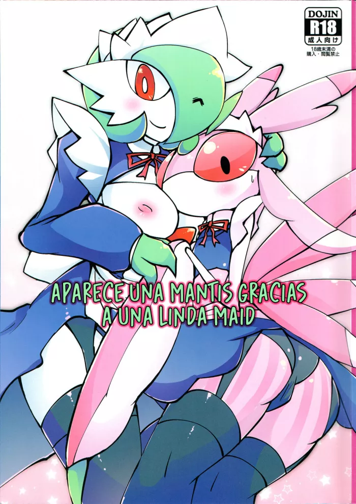 (C91) [Metallic Steel (Ikanomaru)] Maid-san to Hanakamakiri-san no Ongaeshi (Pokémon) [Spanish] [olimpo no fansub (Remaster)]