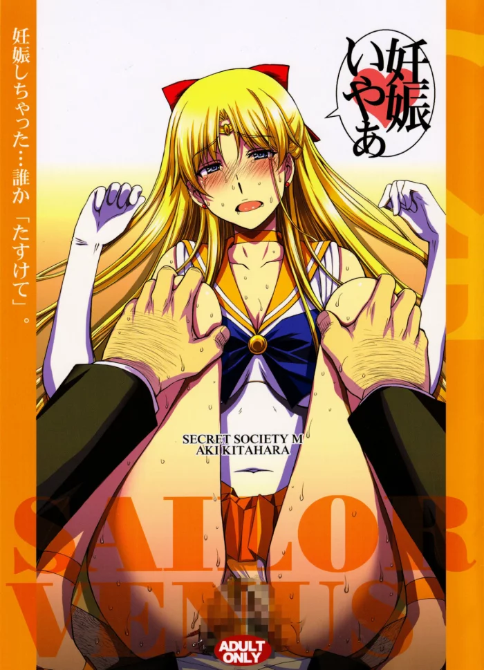 (C91) [Secret Society M (Kitahara Aki)] Ninshin Shichatta… Dareka “Tasukete”. (Bishoujo Senshi Sailor Moon) [Spanish]
