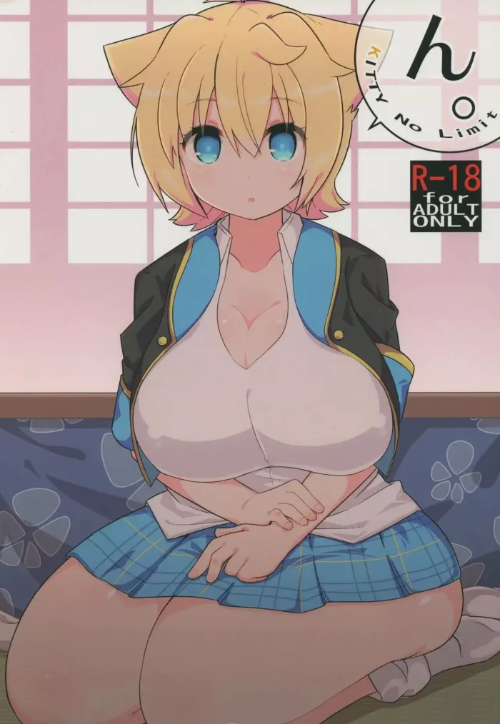 (C93) [Akaao (HiRoB816)] N. KITTY No Limit (GJ-bu) [Spanish] [Perplexion Translations]
