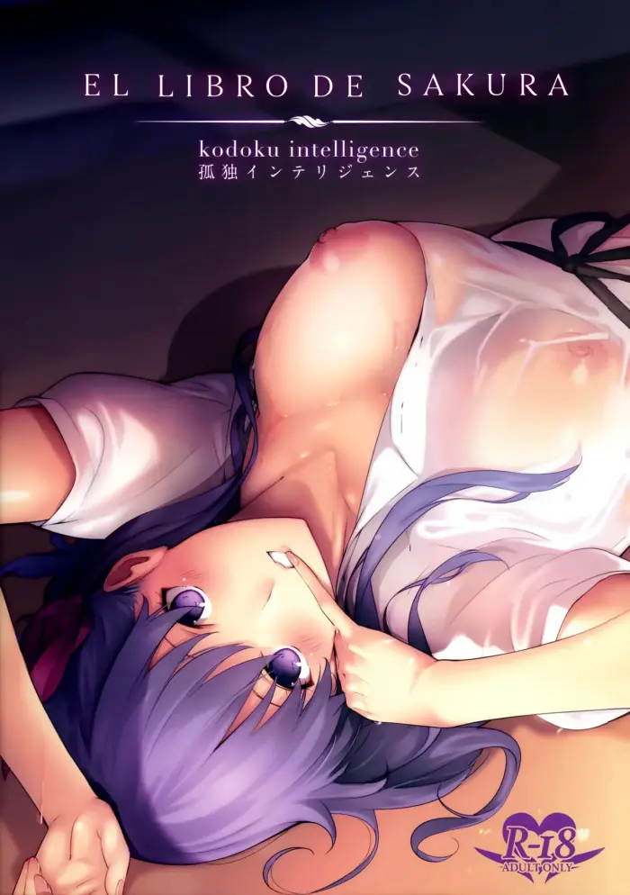 (C93)  THE BOOK OF SAKURA | El libro de Sakura (Fate/stay night) [Spanish] [NeoDarkFansub]
