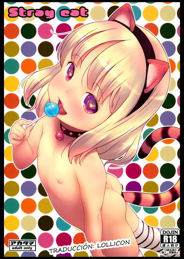 (C96) [Akatama (Sakurafubuki Nel)] Stray cat [Spanish]