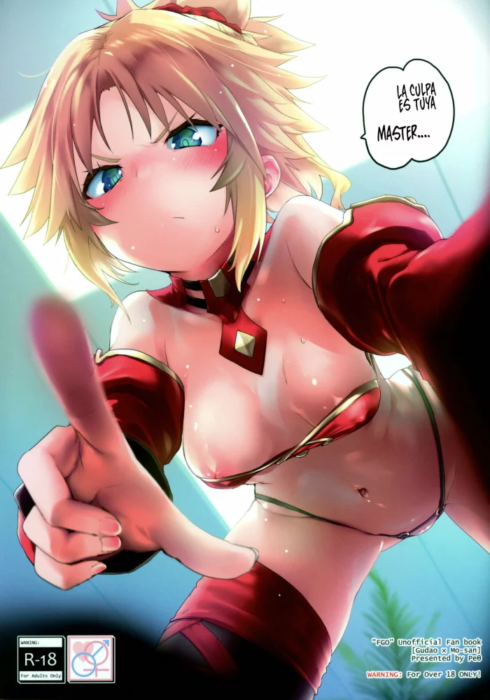 (C97) [Peθ (Mozu)] Master no Sei da zo… | Es tu culpa Master! (Fate/Grand Order) [Spanish]