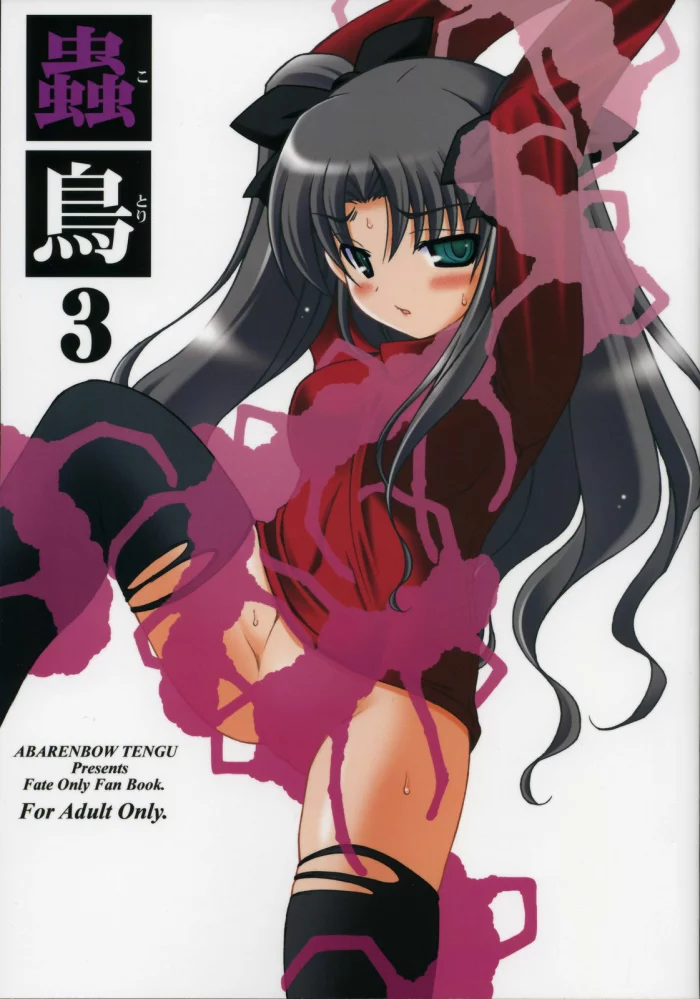 (Comic Castle 2006) [Abarenbow Tengu (Izumi Yuujiro)] Kotori 3 (Fate/stay night) [Spanish] {Kurotao}
