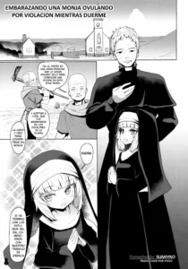 (COMIC1☆13) [Yurerutikuwabu (Sumiyao)] Sister-san Suiminkan Shochouzen Haramase | Embarazando una monja ovulando por violacion mientras duerme (Botebara Haramase Goudou) [Spanish] [PHILO]