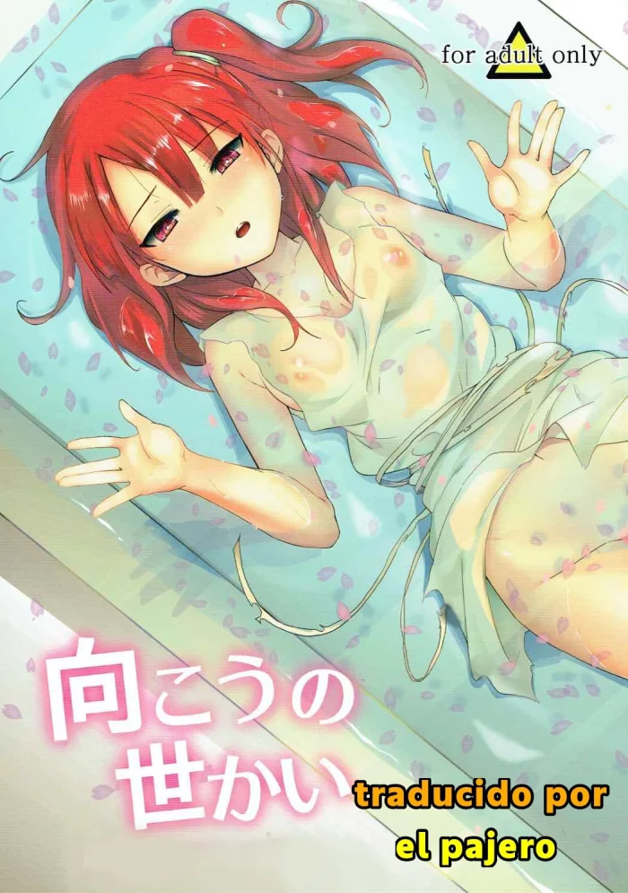 (COMIC1☆7) [macdoll (Shijou Mako)] Mukou no Sekai | The World Beyond (Magi: The Labyrinth of Magic) [Spanish]