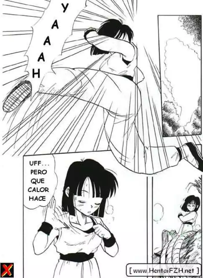 DBZ PAN Spanish
