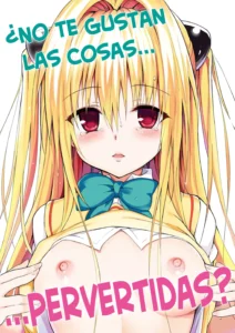 Ecchii no wa Kirai desu ka? | ¿No te Gustan las Cosas Pervertidas?
